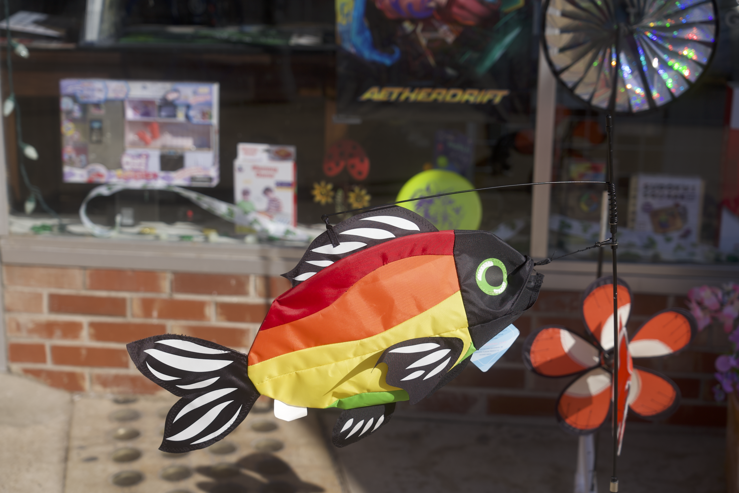 Fish kite 